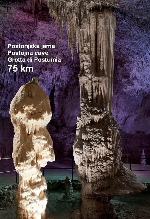 Apartma Veverin Lokve Esterno foto